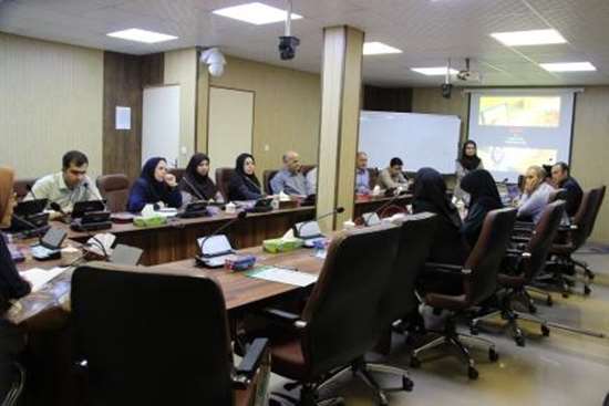 برگزاری کارگاه معرفی وکاربرد MOOCs در آموزش علوم پزشکی -6,